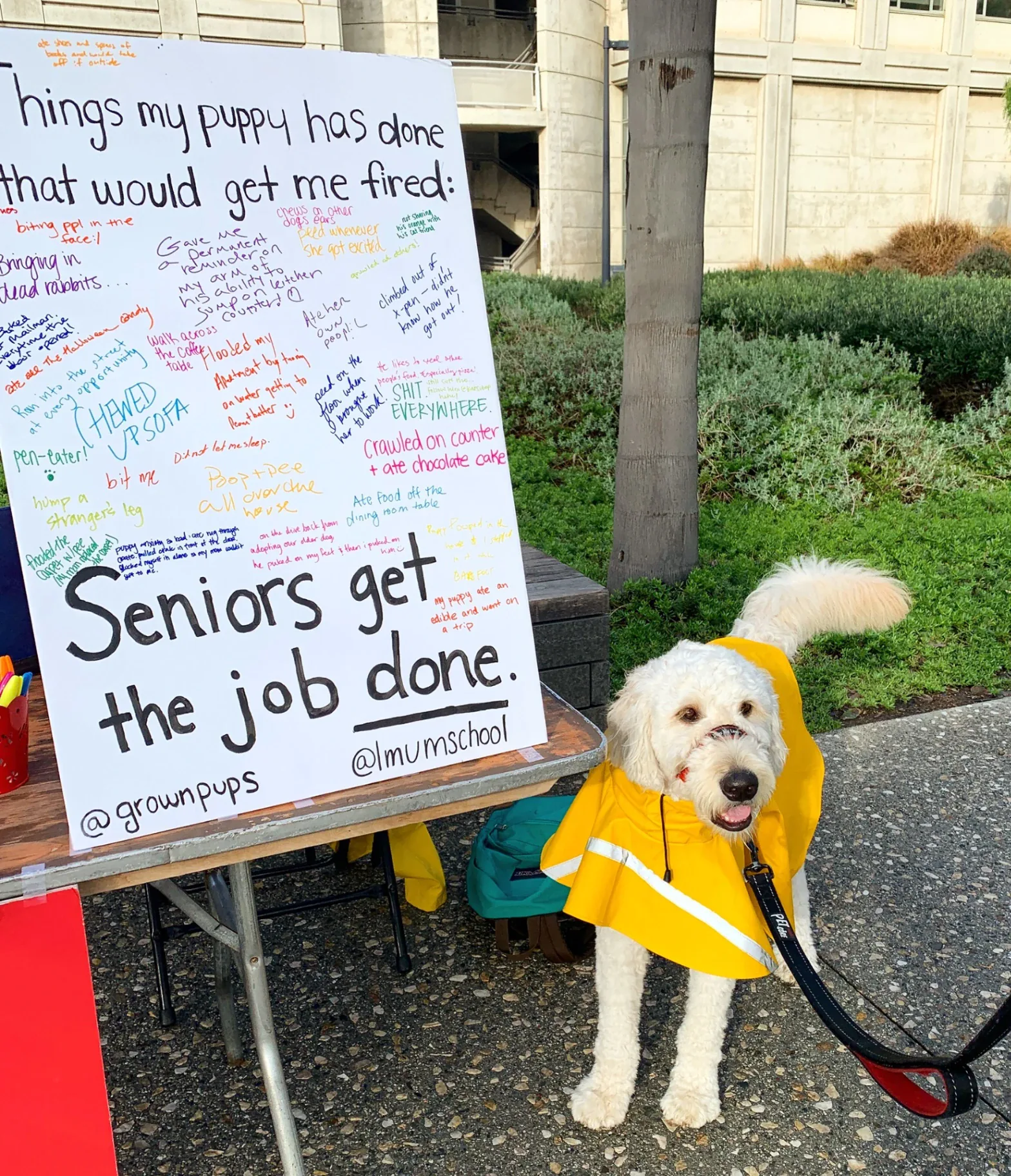 Tabling at LMU with interactive poster