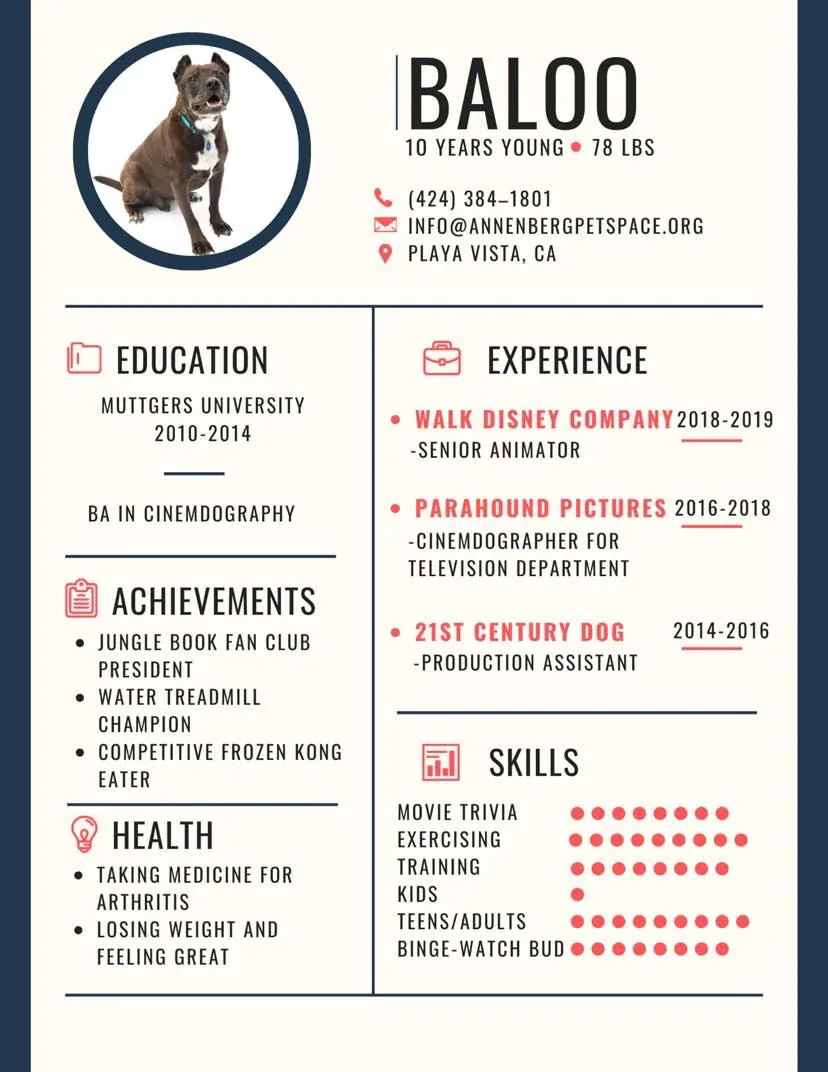 Baloo's resume